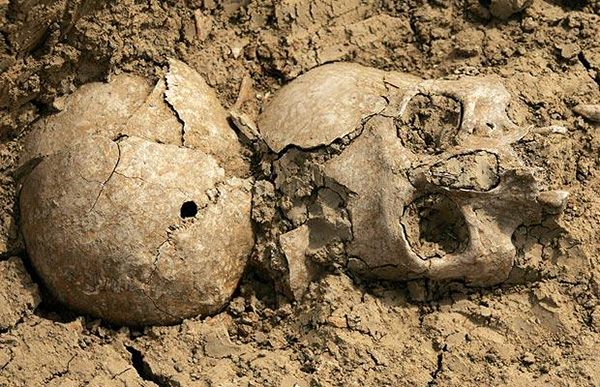 un-craniu-de-40-000-de-ani-perforat-de-un-glonte