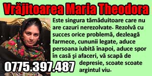 Banner 300x150 Vrajitoarea Maria Theodora
