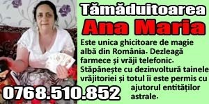 Ana Maria banner