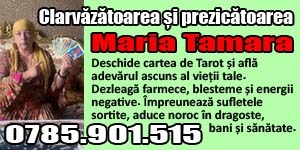 Maria Tamara banner
